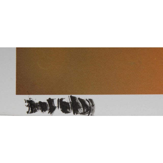 Bird of Paradise, Jonathan Singer, Photograph For Sale - Image 4 of 5