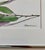 Illustration Framed 1990s Original Watercolor Small Painting “Eucalyptus Sprig” For Sale - Image 3 of 6