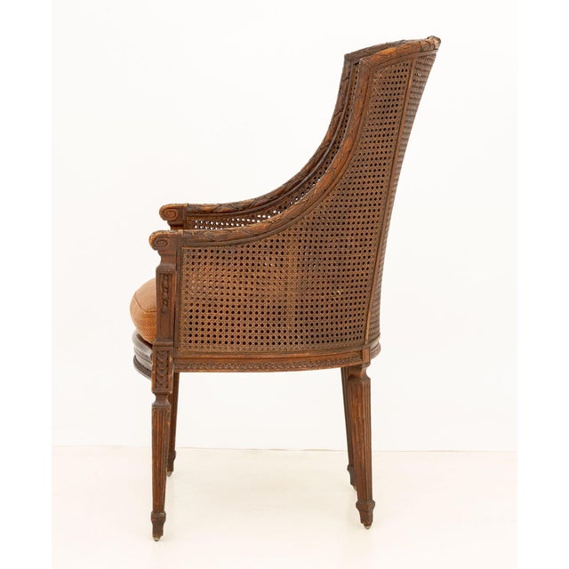 Wood American Regency Style Mahogany Cane Bergere For Sale - Image 7 of 8