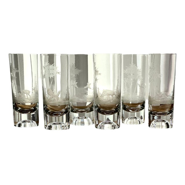 Bohemian Etched Crystal Highball Glasses, Set of 6 For Sale
