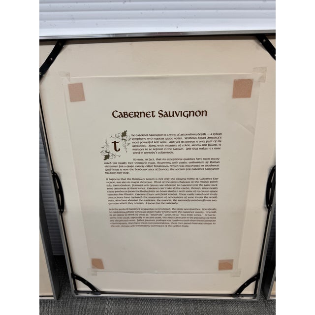 Vintage Wine Grape Varietal Lithographs, Set of Four For Sale In San Francisco - Image 6 of 12