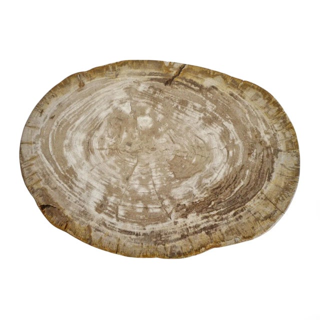 Petrified Wood Vintage Stump Side Table / Stool For Sale - Image 4 of 4