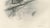 Lilian M. Medland, Eurasian Hobby Falcon, 1908, Monochrome Ornithological Plate on Paper For Sale - Image 6 of 10