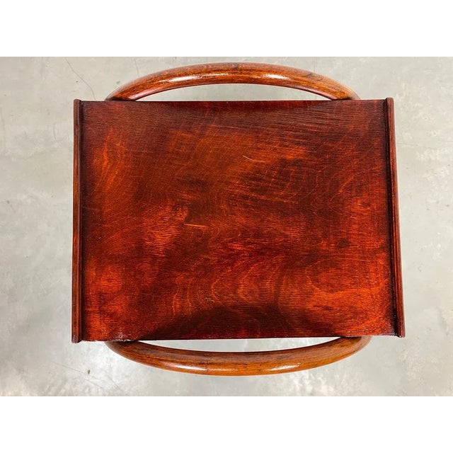 Bentwood Plant Stand from Thonet, 1920s For Sale - Image 8 of 10