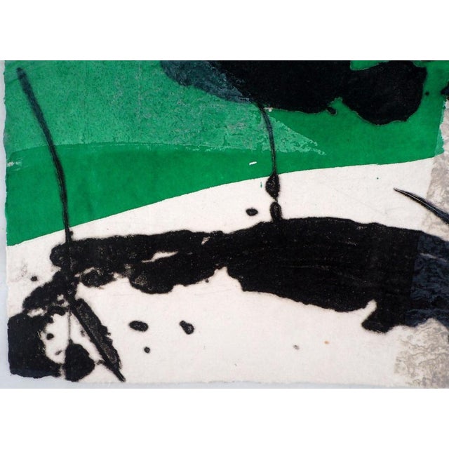 Lionel, The Origin of Green, Etching For Sale - Image 7 of 9
