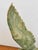 Hand-Carved Stylized Eagle in Soapstone For Sale - Image 3 of 12
