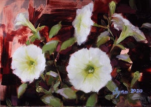 White Petunias by Taylor Tynes | Oil on Copper Panel Painting of white petunias with green leaves.