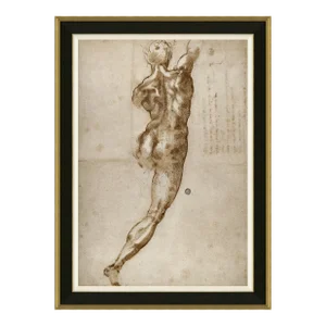 Lorenzo Framed Art Print