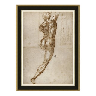 Lorenzo Framed Art Print by David Phoenix For Sale