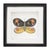 Modern Framed Butterfly Block (Set of 2) For Sale - Image 3 of 5