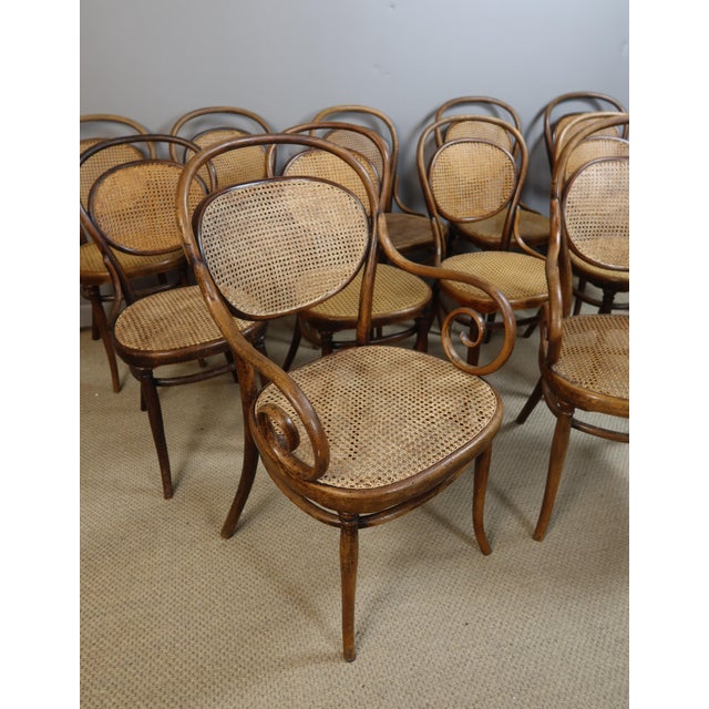 Rare set of nine chairs and two armchairs by thonet. The caning of these chairs has been inspected, and some have been re-...