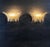 2020s Palmette Smoked Glasses Sconces - a Pair For Sale - Image 5 of 8