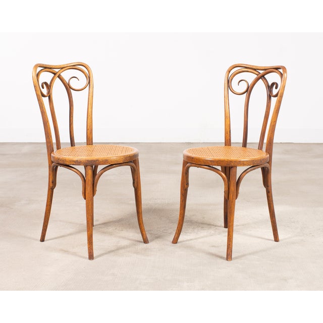 Pair of J & J Kohn Thonet Bentwood Cane Viennese Café Chairs For Sale In Sacramento - Image 6 of 17