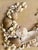 1970s Coastal Folk Art Framed Sea Shell Decorative Hanging Signed by Artist For Sale - Image 10 of 14