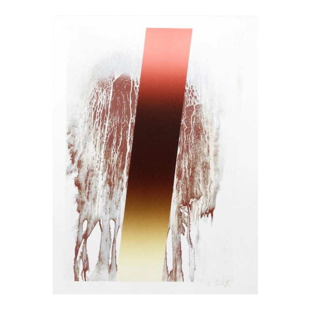 Deli Daniel Sacilotto, McDowell Suite I, Lithograph For Sale