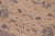 Textile Shabby Chic Tan/Beige Wool Rug - 8'3'' X 9'11'' For Sale - Image 7 of 10