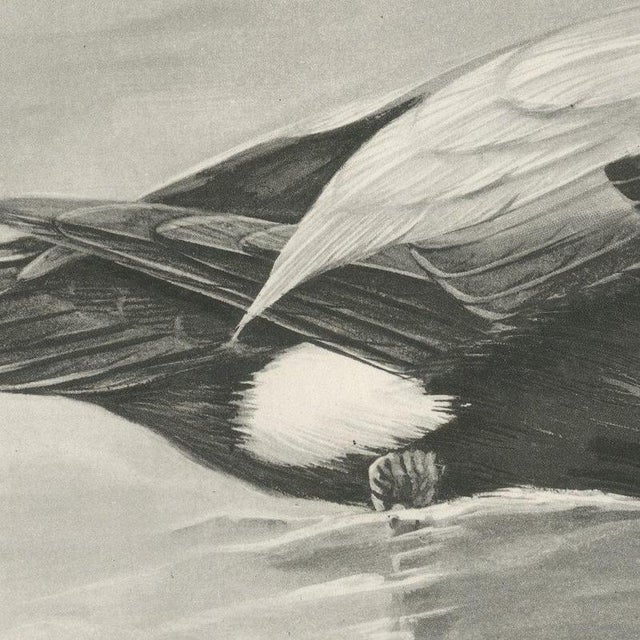 After Lilian Medland, Eider, 1909, Print For Sale - Image 4 of 8