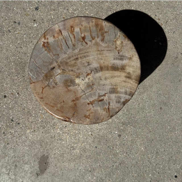 1980s Small Side Table in Petrified Wood, 1980s For Sale - Image 5 of 18