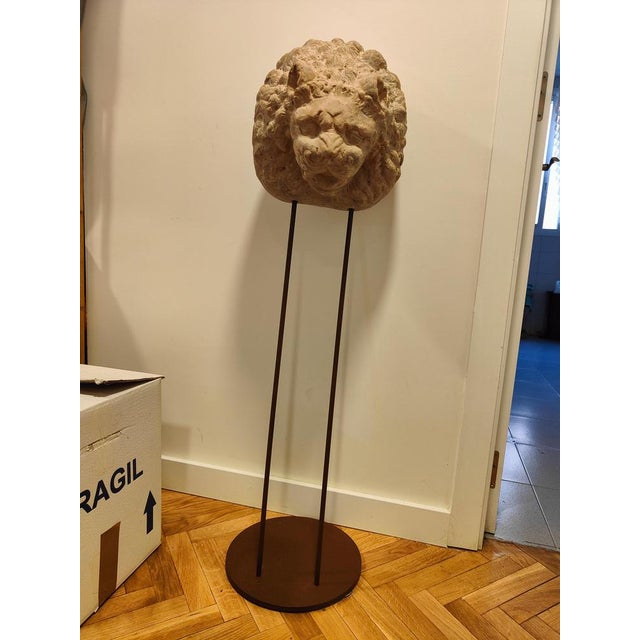 Add a touch of regal elegance to your collection with this decorative terracotta lion head, crafted in the early 1900s....