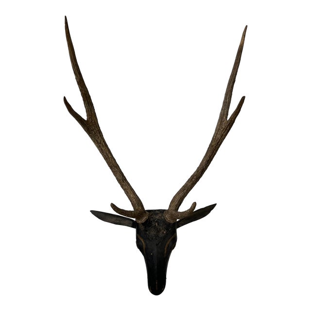 Antique 19th Century Folk Art Carved Wood Black Forest Baroque Deer Head & Antlers Wall Trophy For Sale