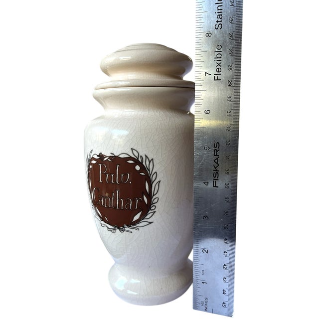 Ceramic Vintage Apothecary Jar by Lilly, Made in Portugal — “Pulv. Canthar.” For Sale - Image 7 of 7