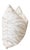 2020s Pair Animal Print Scalamandre Style Pillows/Feather Down Inserts/22" For Sale - Image 5 of 5
