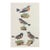 John Selby Songbirds Hand Colored Engraving For Sale