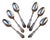 Berwick Dessert Spoons from WM. Rogers & Son, 1904, Set of 6 For Sale