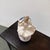Lladró Sitting Ballerina in Plush Blue Chair From the Tribute to the Ballerina Collection Porcelain Figurine, Signed For Sale - Image 11 of 12