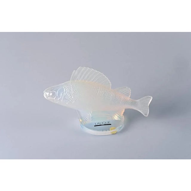 Opalescent Crystal Perche Fish Mascot or Paperweight by René Lalique, France For Sale - Image 3 of 6
