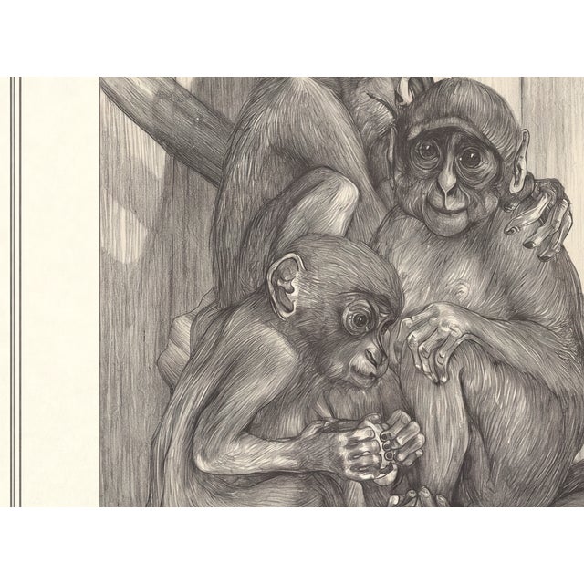 Atelier Aria Lumae Theo Van Hoytema Three Monkeys Art Nouveau Restored Gallery Board Print 16 X 24 on Archival Hahnemuhle German Etching Paper For Sale - Image 4 of 14