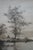 Antique James Fagan Signed Solitude Rowboat Marsh Seascape Etching 23" For Sale - Image 11 of 11