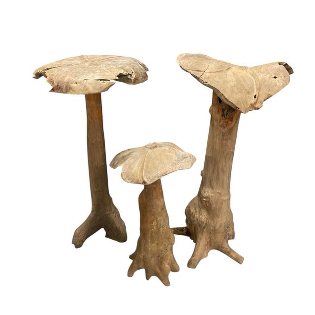 Mid-Century Modern Set of Vintage Organic Teak Driftwood Mushroom Sculptures, 3 Pieces For Sale - Image 3 of 12