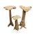 Mid-Century Modern Set of Vintage Organic Teak Driftwood Mushroom Sculptures, 3 Pieces For Sale - Image 3 of 12