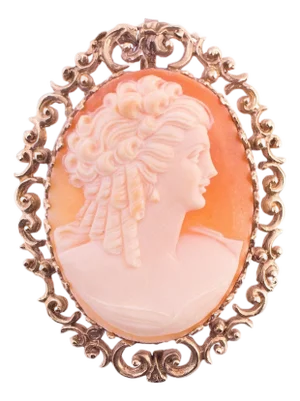 Early 20th Century 14k Ornate Shell Cameo Brooch