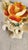 Pair of Vintage Ivory Ceramic Rose Double Candle Holders For Sale - Image 18 of 18