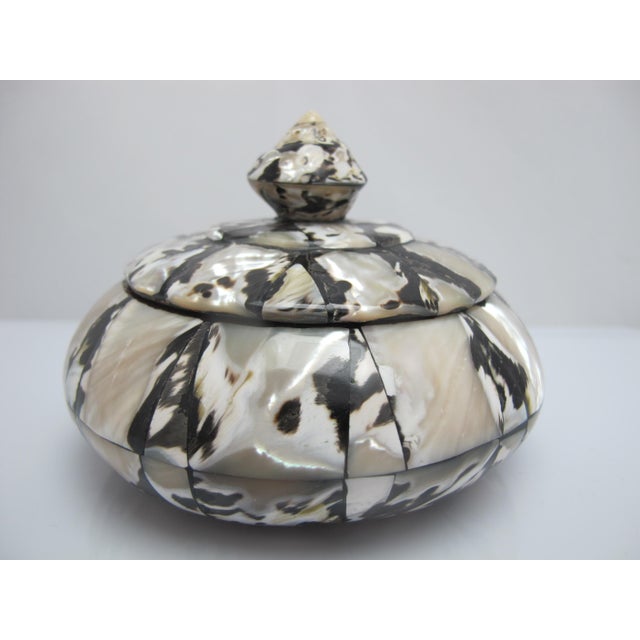 Wood Inlaid Mother of Pearl Black & White Shell Round Lidded Trinket Box For Sale In Portland, OR - Image 6 of 10