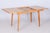 Mid-Century Czech Extendable Table in Beech and Ash attributed to Tatra Pravenec, 1950s For Sale - Image 9 of 17