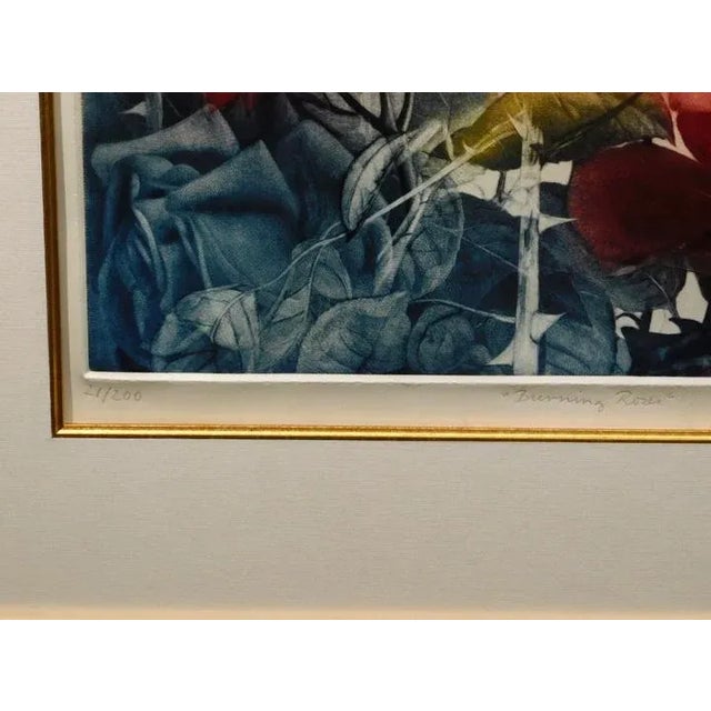 Vintage GH Rothe "Burning Rose" Hand Signed Original Mezzotint For Sale - Image 4 of 6