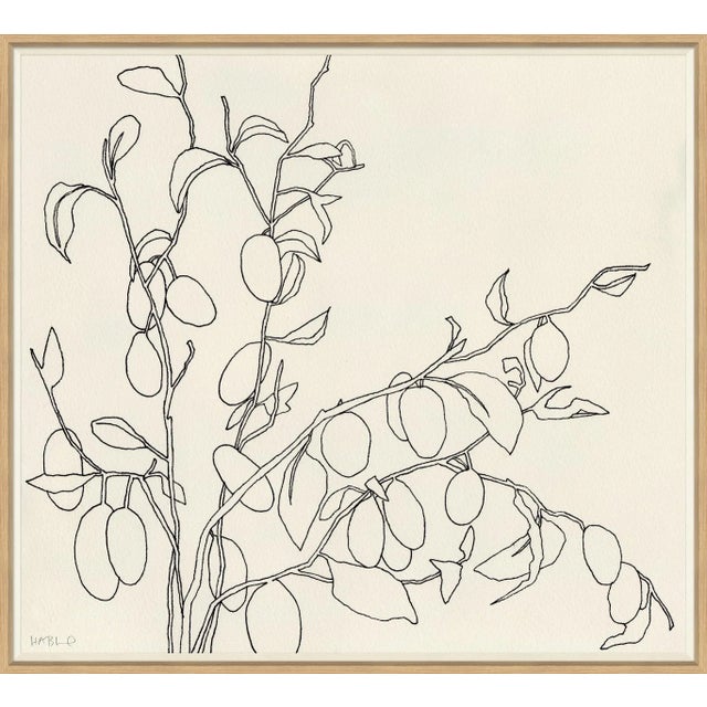 Contemporary Olives Framed Art Print by Susan Hable For Sale - Image 3 of 3