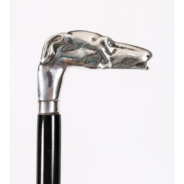 Antique French Silver Greyhound Walking Stick Cane, 1890s For Sale - Image 3 of 8