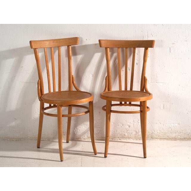 Bentwood Chairs in the style of Thonet, Central Europe, 1930, Set of 4 For Sale - Image 10 of 15