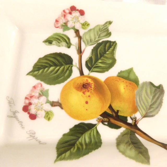 Mid-Century Modern 1980s Portmeirion Small Sandwhich Tray in Pomona For Sale - Image 3 of 5