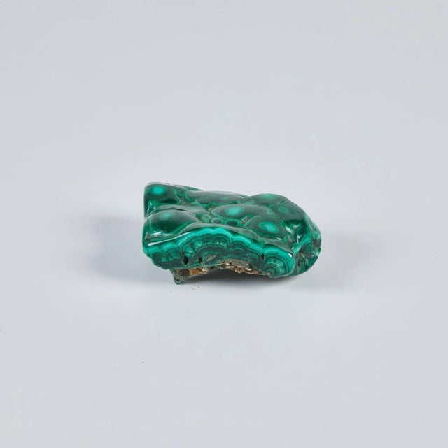Biomorphic Malachite sculpture has a polished surface and raw rock bottom. The opaque polished stone features round...