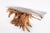 Inspired by the beauty of natural root form, this organic teak console table is handcrafted from one piece of salvaged...