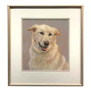 Pastel on Paper of a Labrador