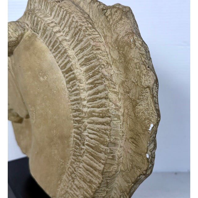 Mid 20th Century Horse Head Casted Sculpture For Sale - Image 12 of 12