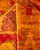 Modern Hand-Knotted Area Rug - Orange, 5' 0" x 8' 0" For Sale In New York - Image 6 of 8
