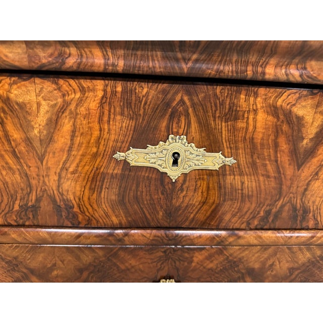19th Century Antique Louis Philippe Commode in Burr Walnut, 1850 For Sale - Image 5 of 18