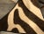 Brown Modern Zebra Camping Stools - a Pair For Sale - Image 8 of 10